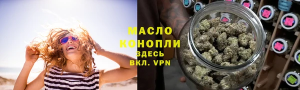 сатива Горняк