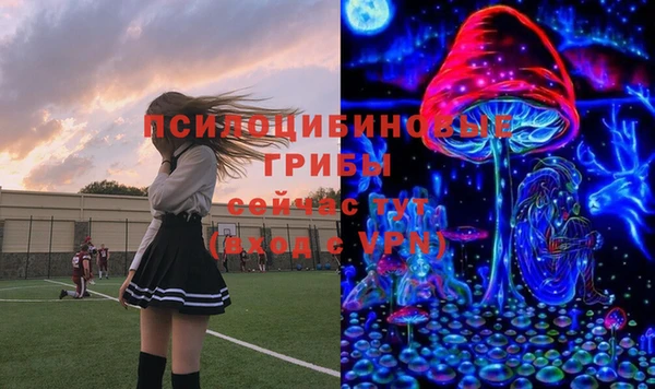 дурь Вязьма