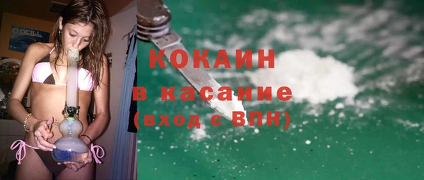 сатива Горняк