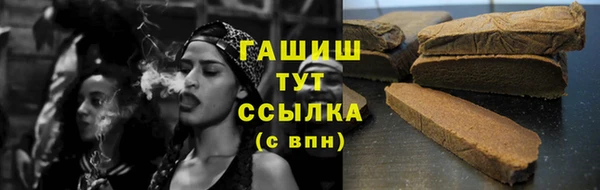 амф Гусев