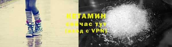 сатива Горняк