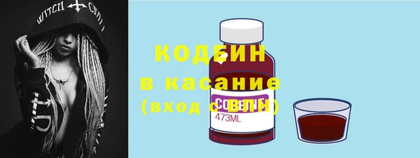 амф Гусев