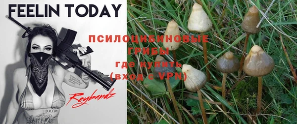 винт Гусиноозёрск