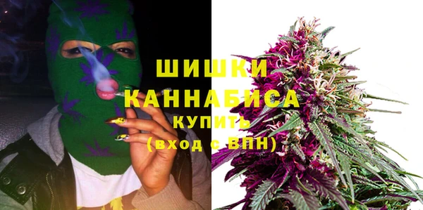 амф Гусев