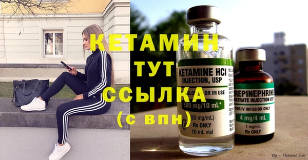 шишки Волоколамск