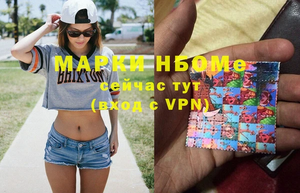 амф Гусев
