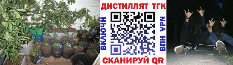 ТГК Wax  Ефремов 