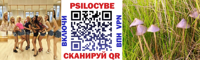Псилоцибиновые грибы Cubensis  Ефремов 